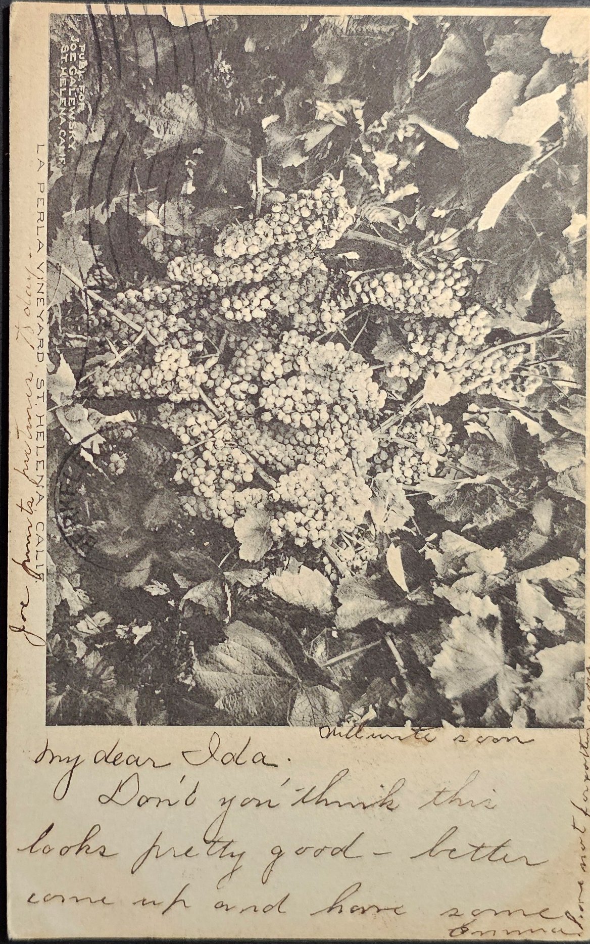 (image for) postcard USA - CA - California #0156